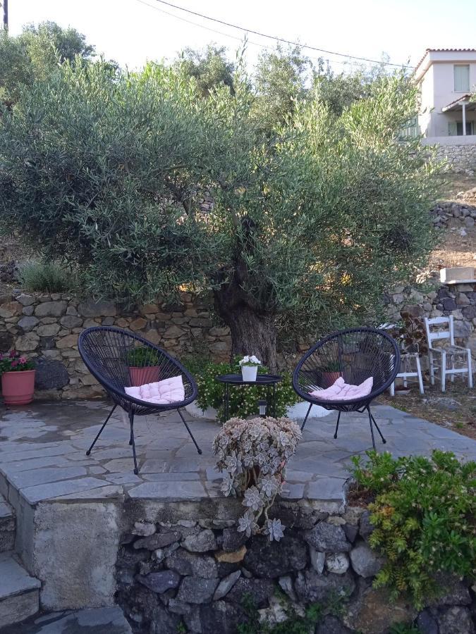Marianna Studios Agios Petros  Exteriör bild